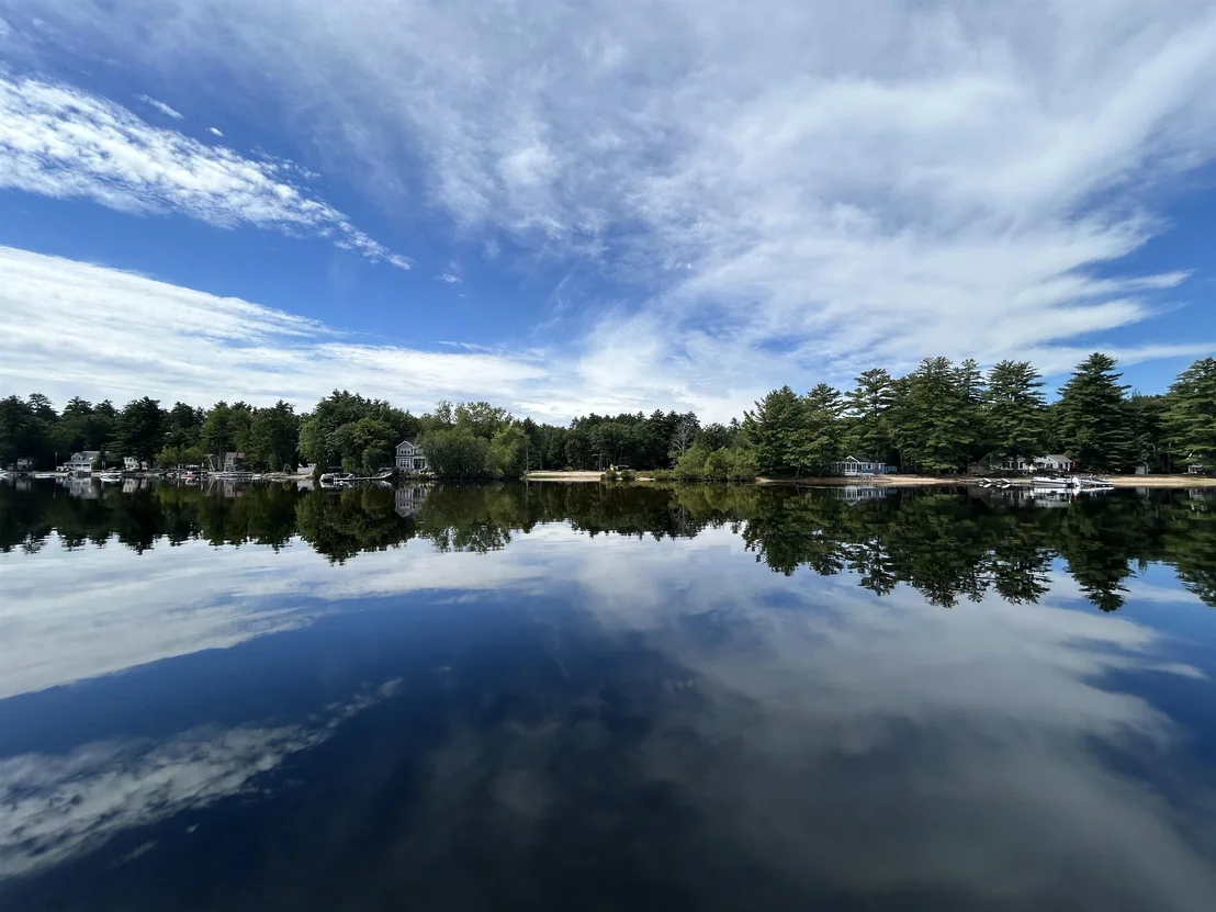 Photo of 6 Forest