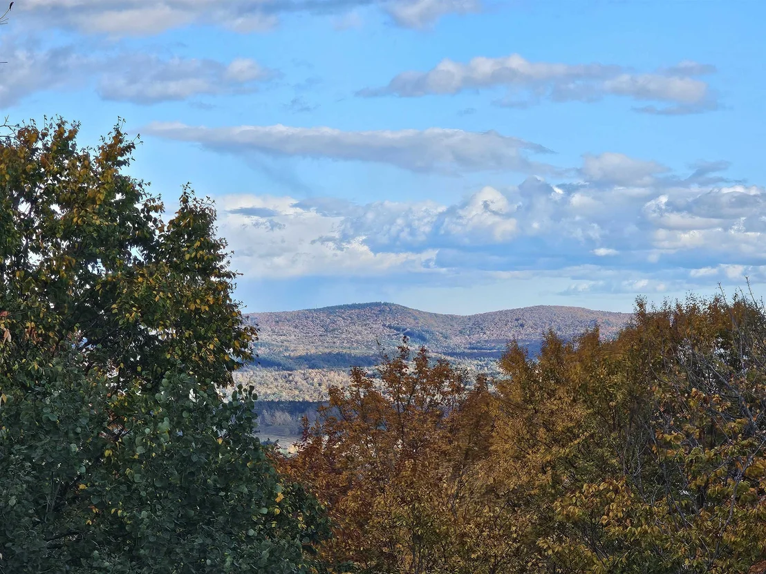 Photo of 23 Shincracker