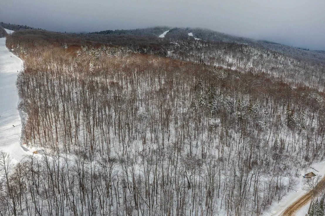 Photo of 0 Mountain