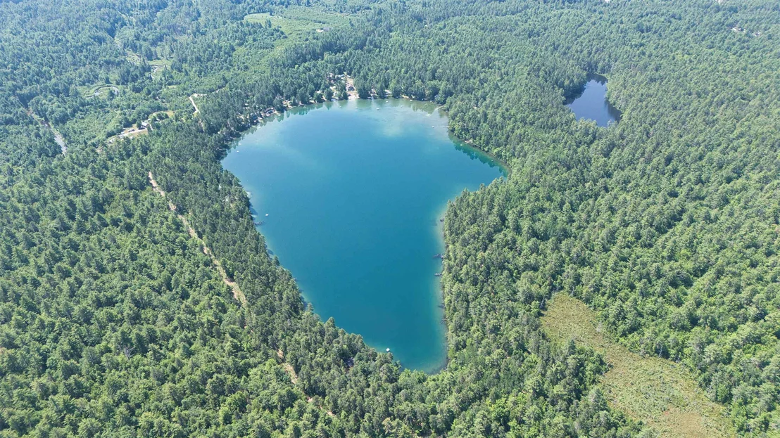 Photo of 53 White Pond