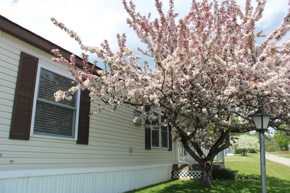 Photo of 24 Ridgeview