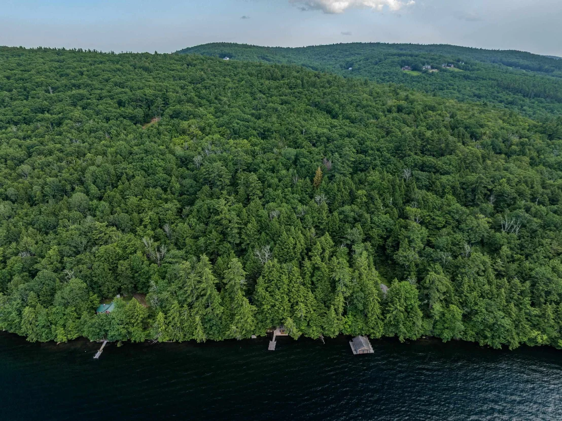 Photo of 16 Hemlock