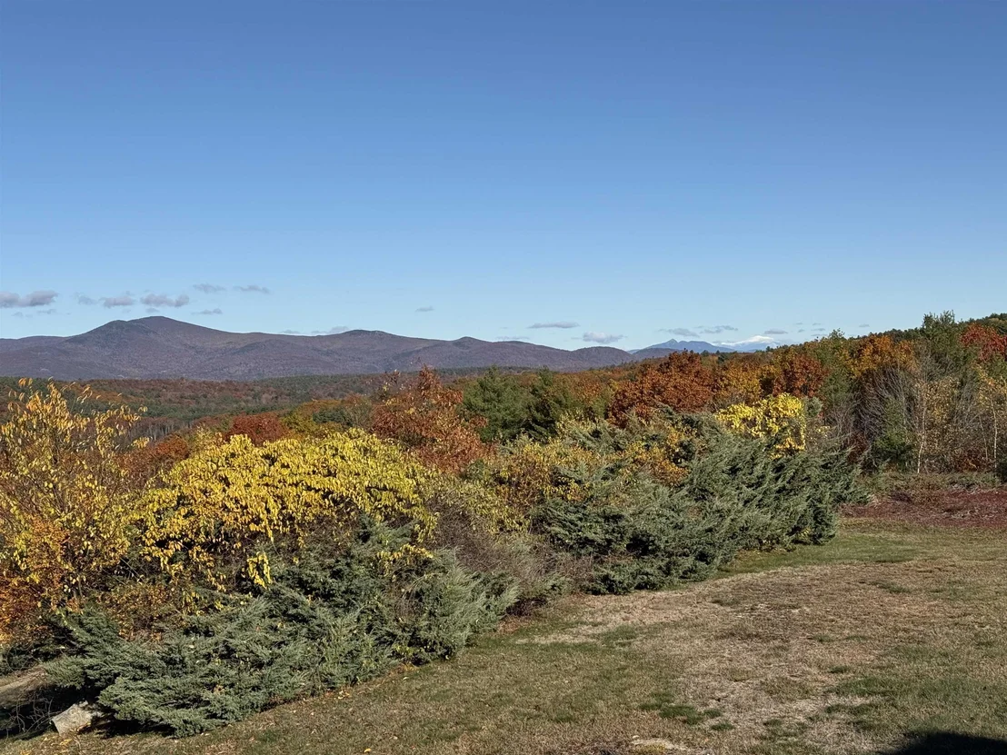 Photo of 36 Blueberry Hill
