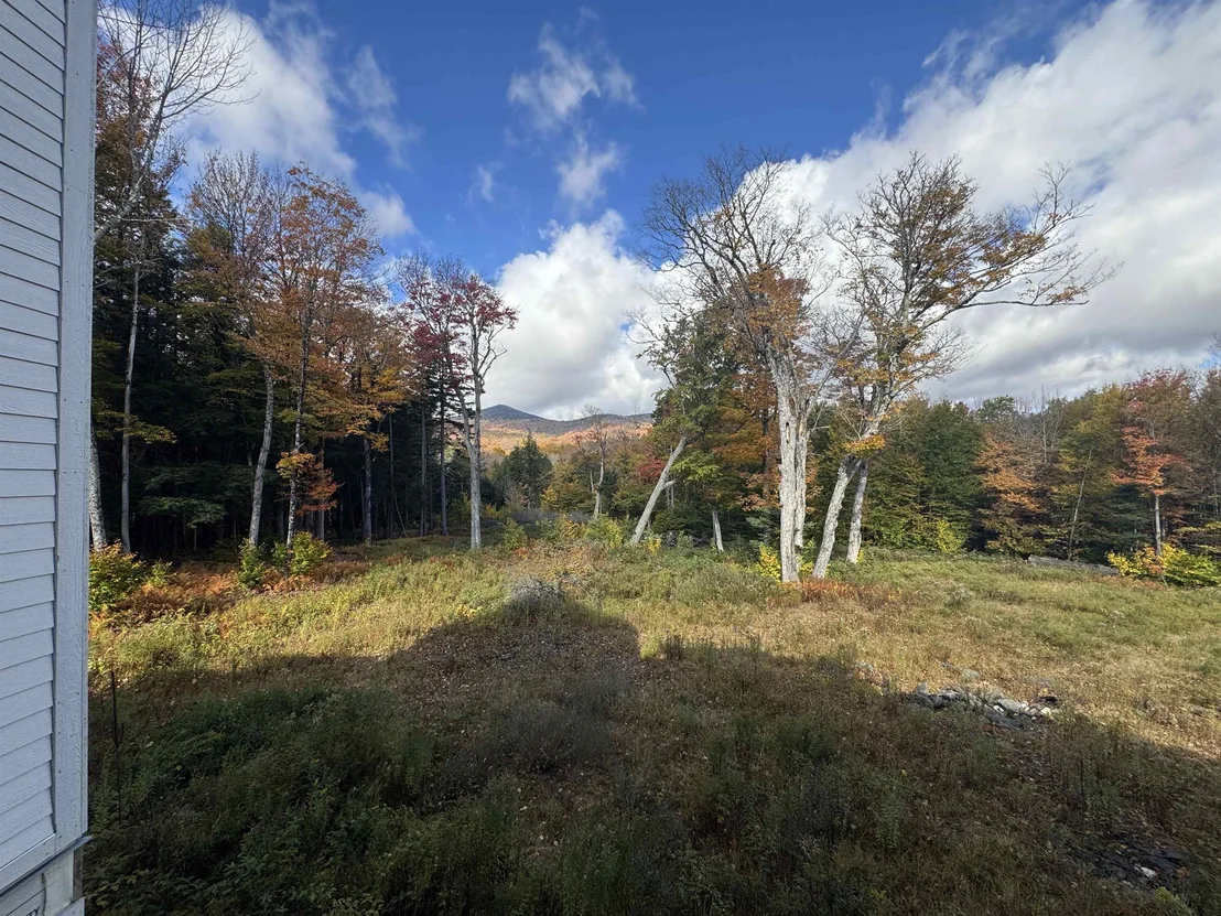 Photo of 29 Mountain