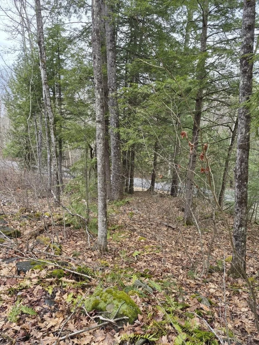 Photo of Unit 1 at Pond