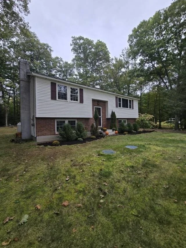 Photo of 9 Epping Woods