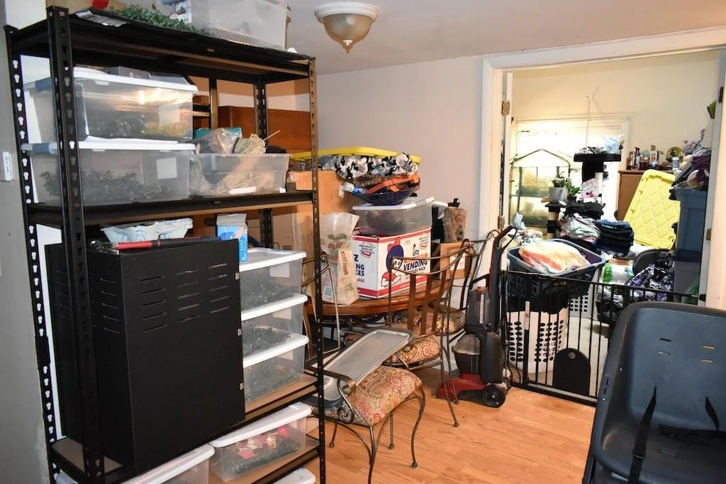 Photo of 133 Mount Delight
