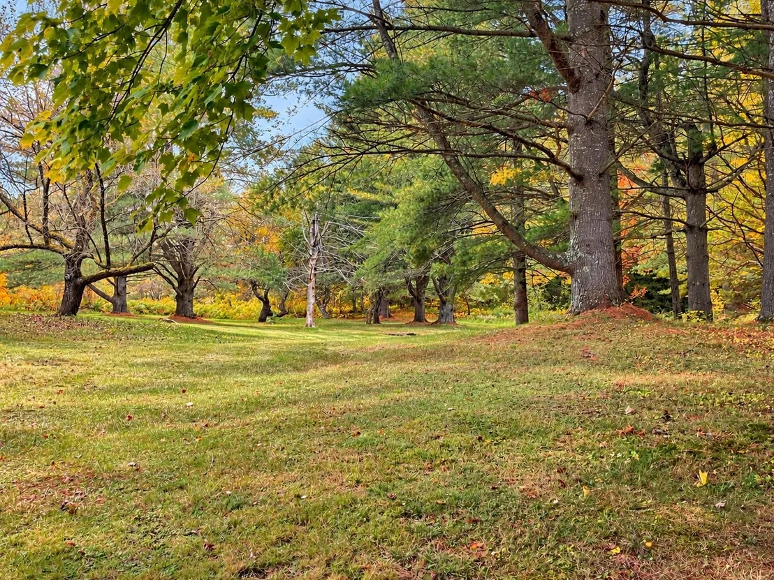 Photo of 104 Kennison