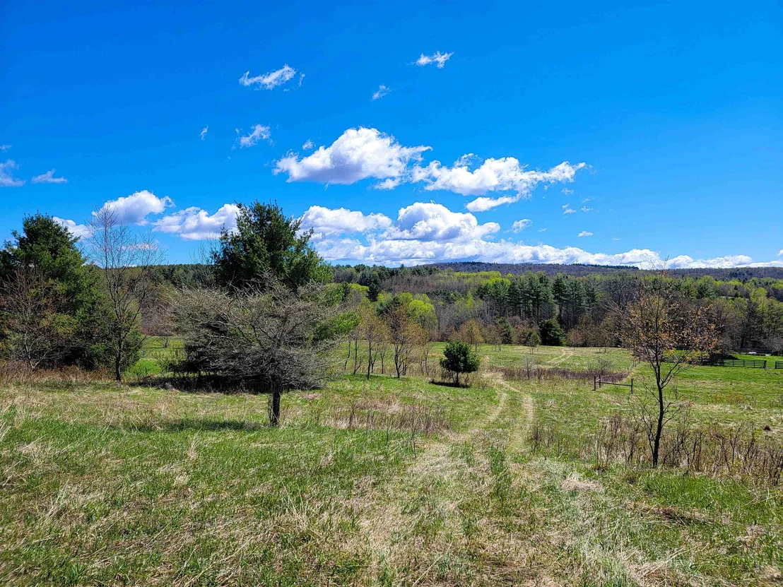 Photo of 667 Cemetery