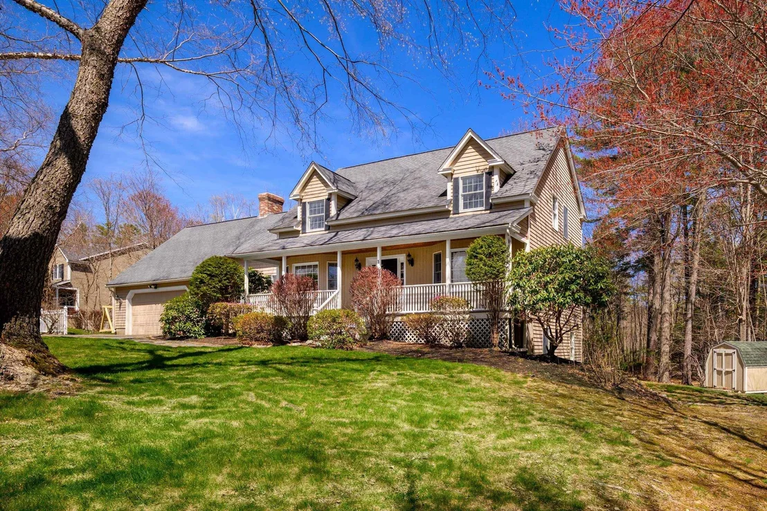 Photo of 1 Meadowlark
