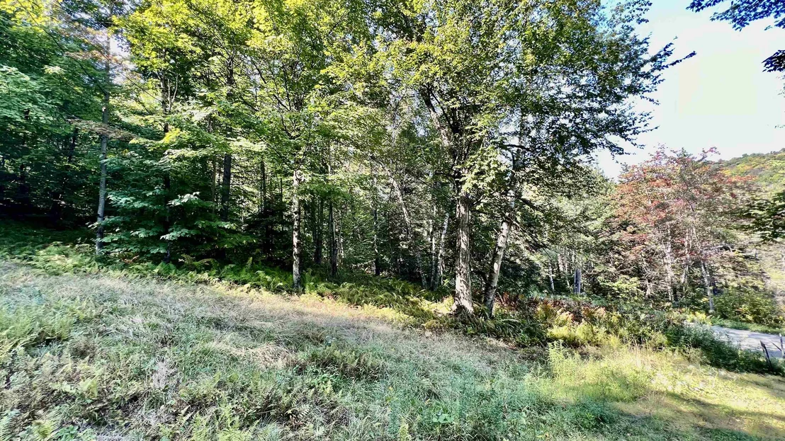 Photo of 2075 Codding Hollow
