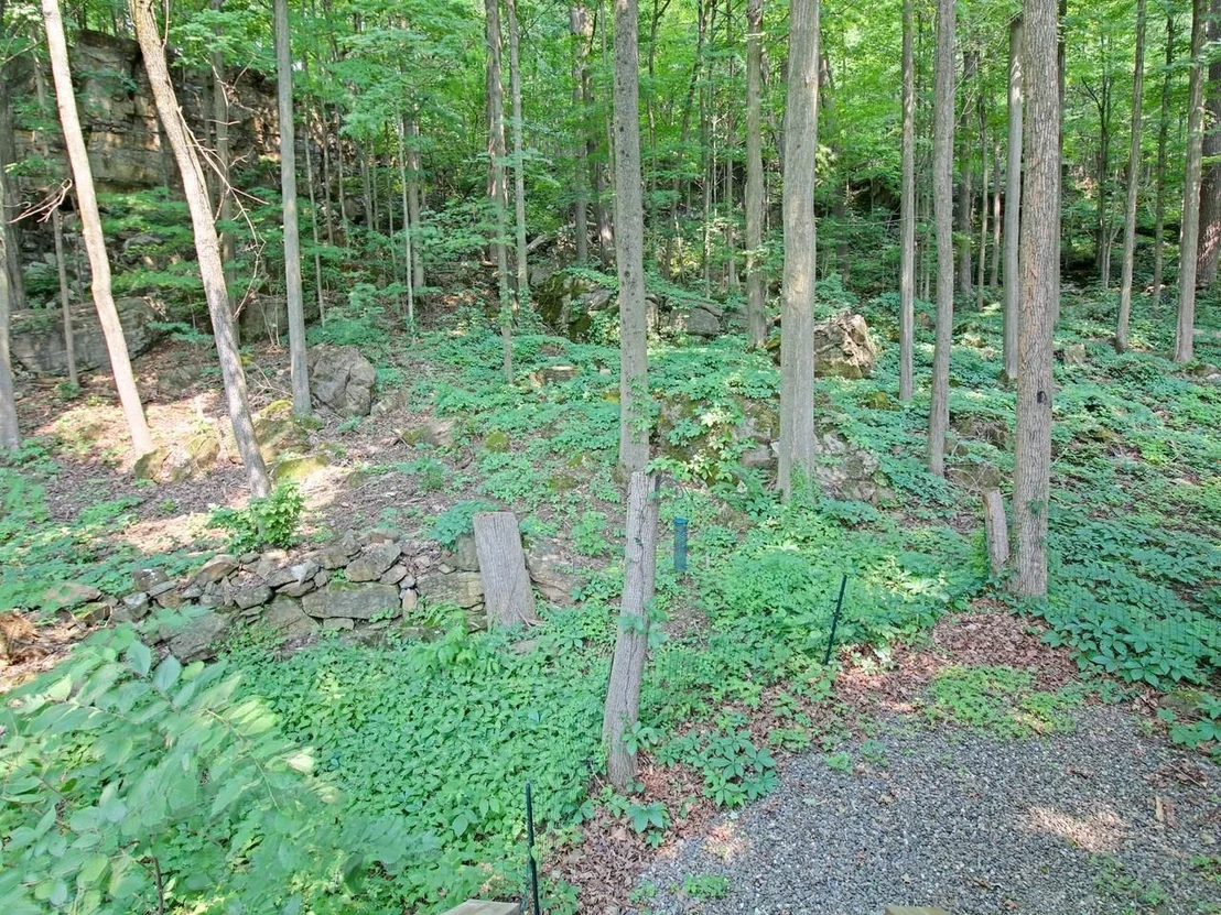 Photo of 383 St. Albans
