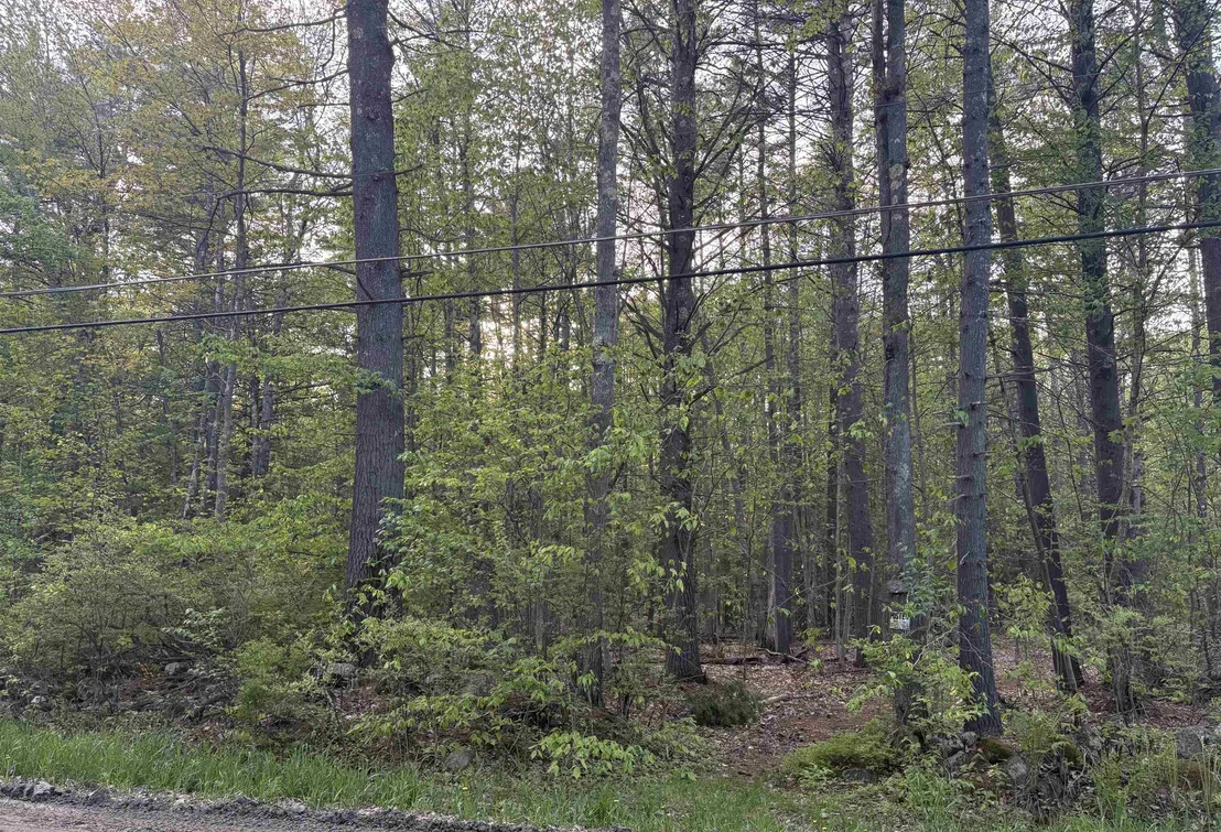 Photo of Lot 80 Currier