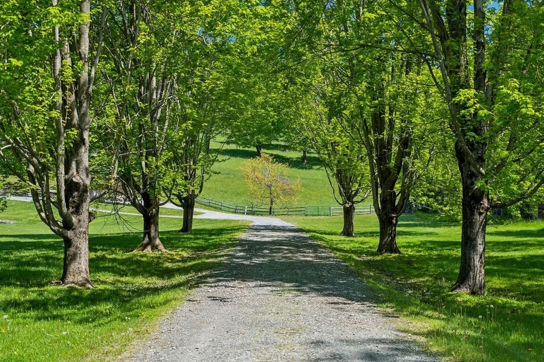 Photo of 699 Spear Cemetery