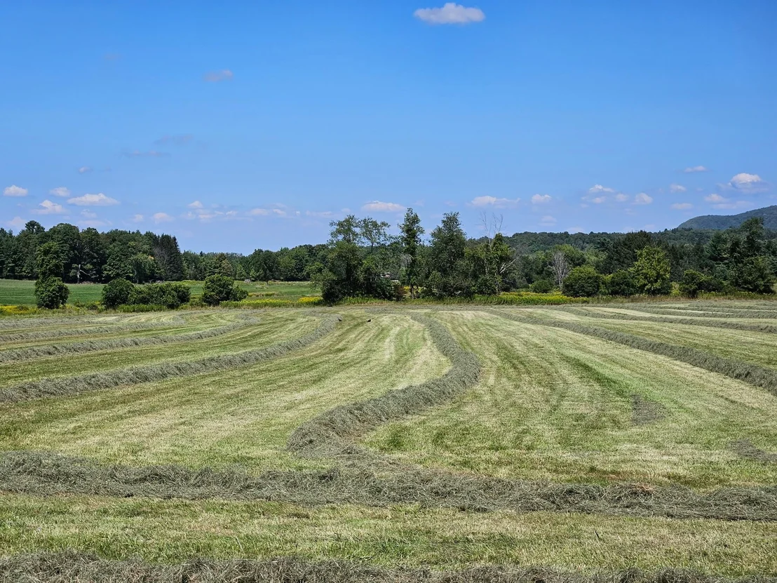 Photo of Lot 2 Plains