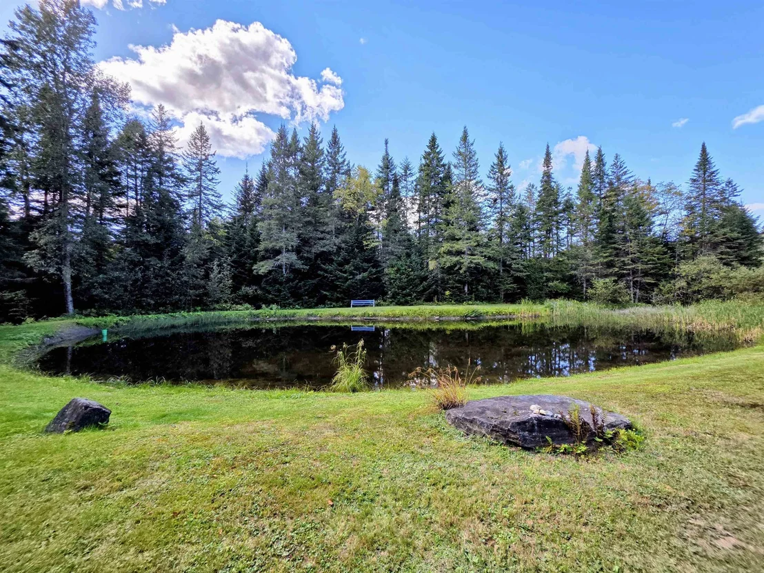 Photo of 255 Gray