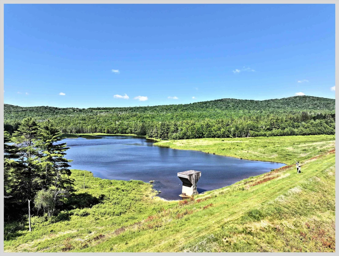Photo of 206 River