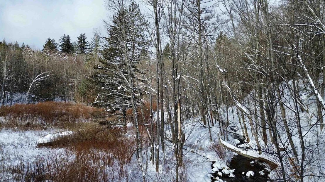 Photo of 142 Brooks