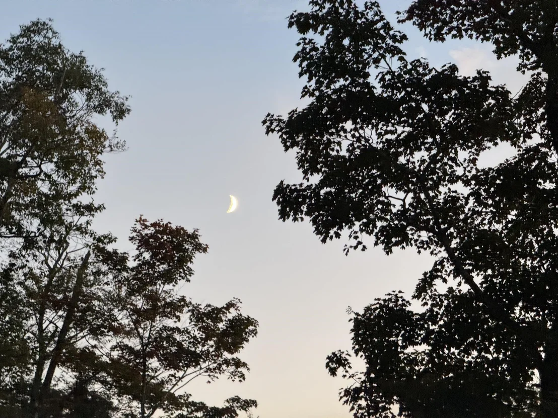 Photo of 59 Garden Loop