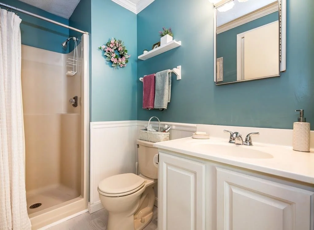 Photo of 56 Blue Cat