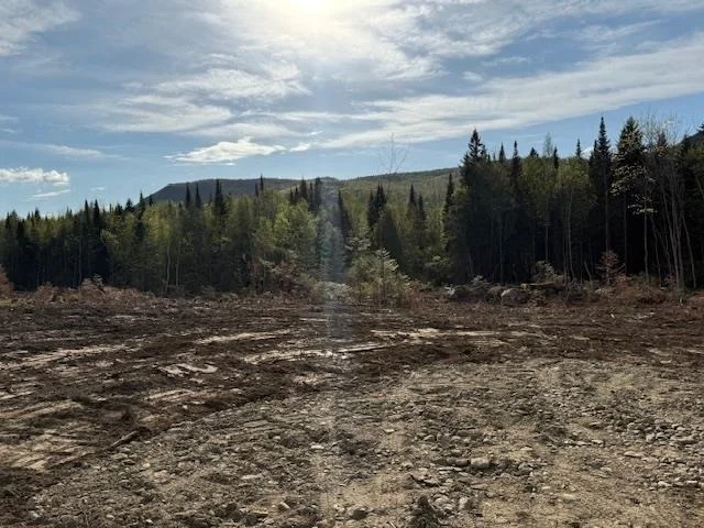 Photo of Lot 56.1 Faraway