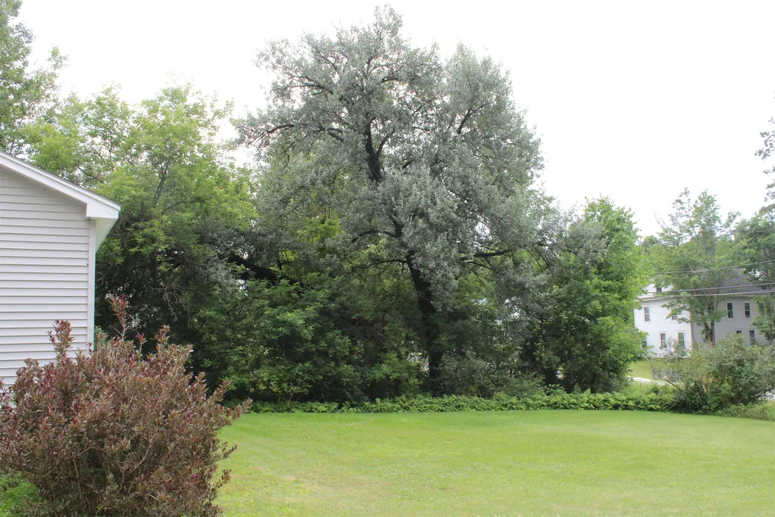 Photo of 8 Holly