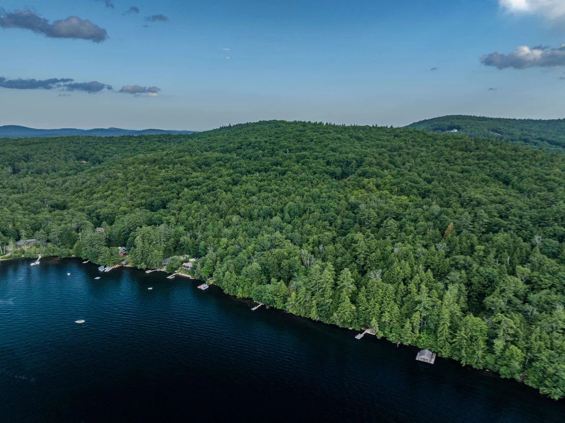 Photo of 16 Hemlock