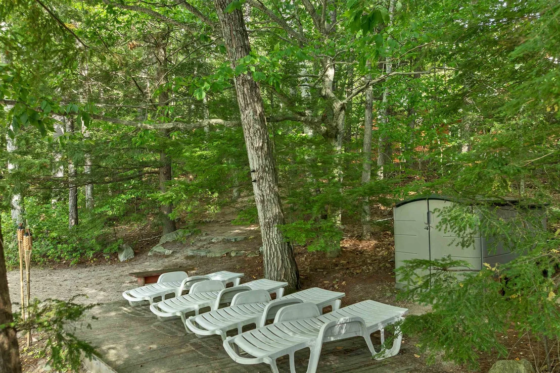 Photo of 49 Kings Pine