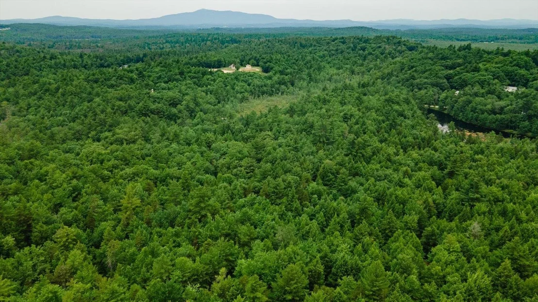 Photo of Lot 0 Pine