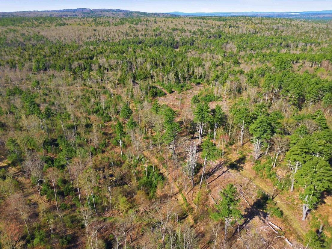 Photo of Unit MAP8LOT28 at 87 Bear Hill
