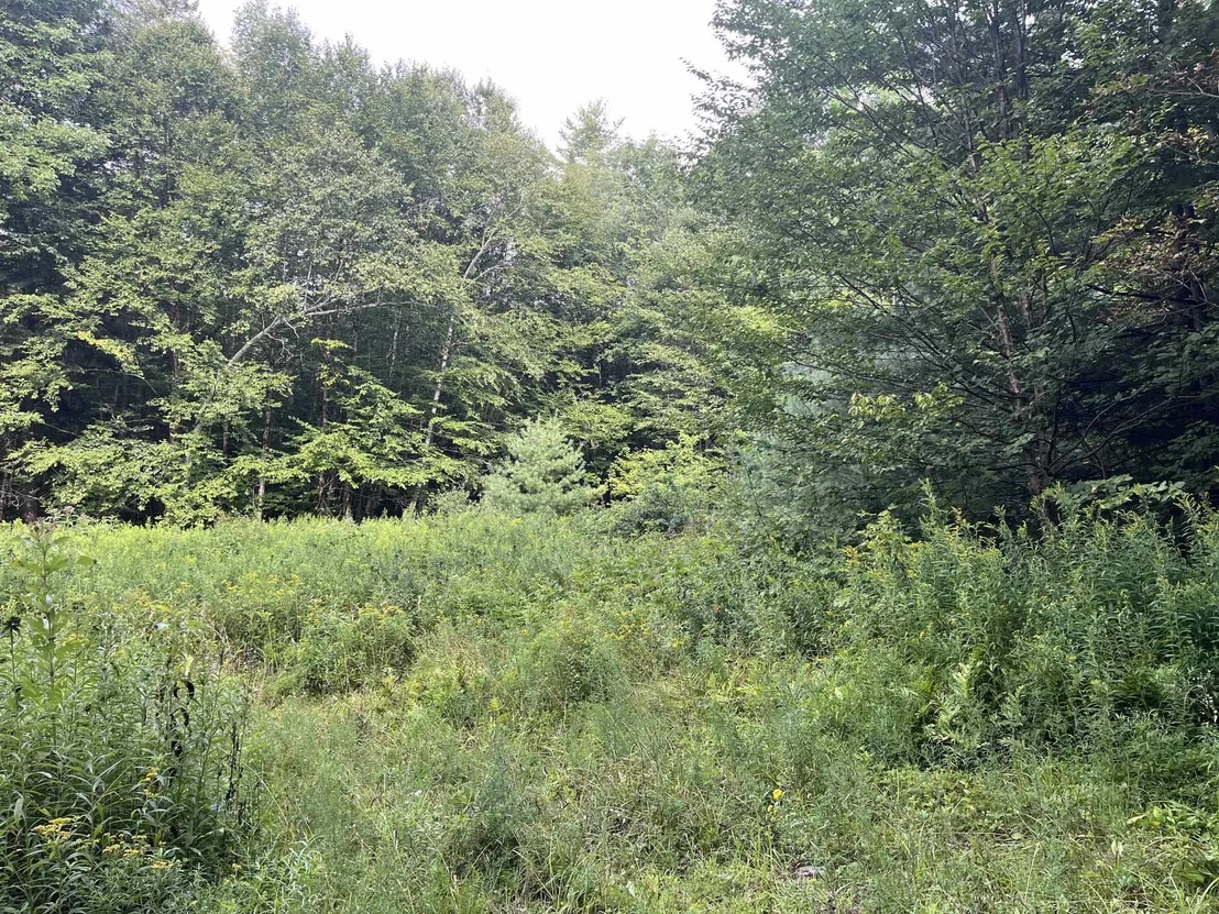 Photo of 00 Pratt Bridge