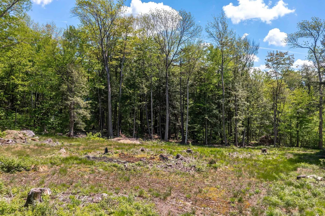 Photo of 585 Sawmill