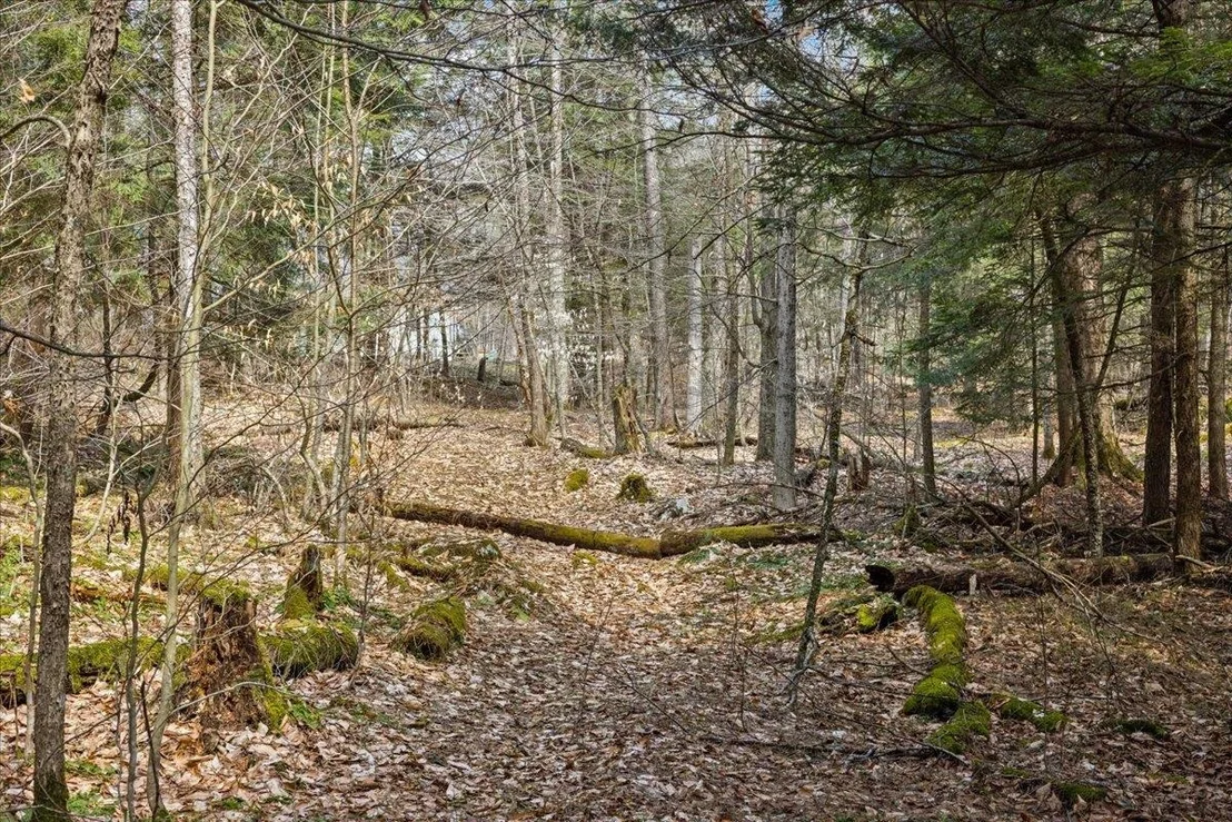 Photo of Lots 2 & 3 Hemlock
