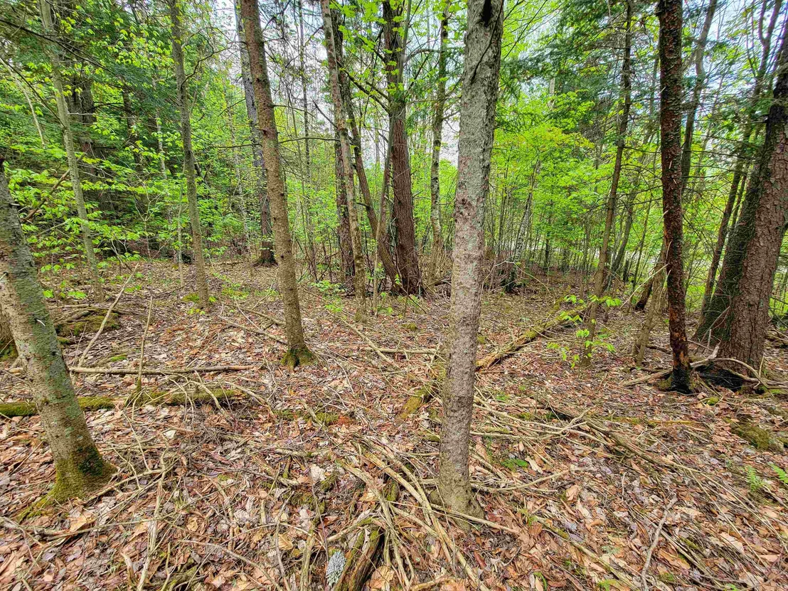 Photo of 720 Brookview