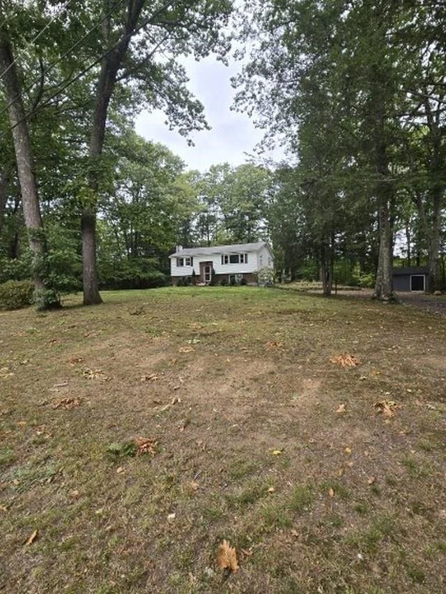 Photo of 9 Epping Woods