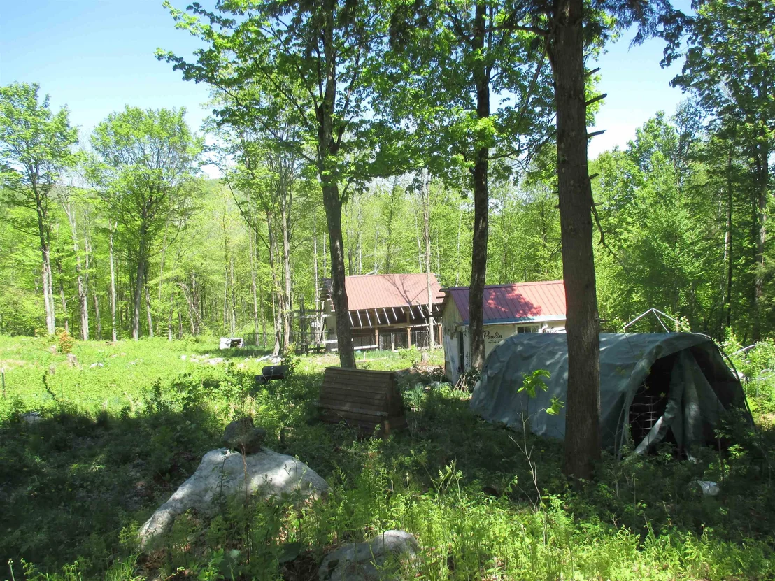 Photo of 798 Ballground
