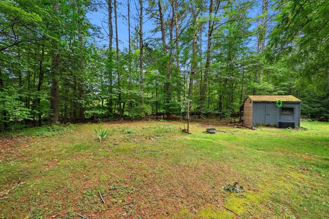 Photo of 6 Juniper