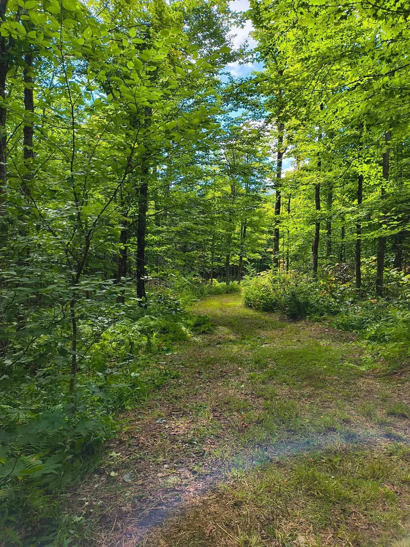 Photo of 2580 Canaan Hill