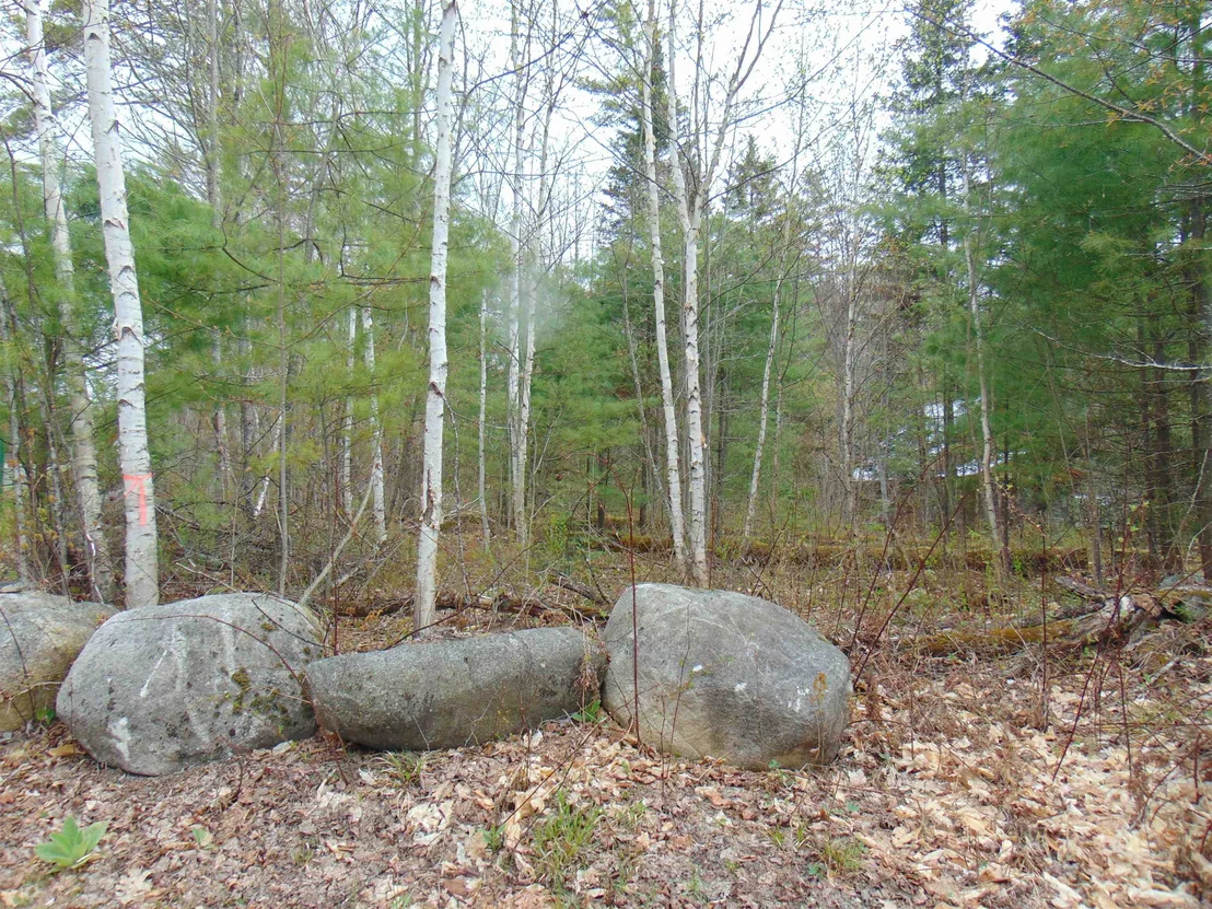 Photo of 000 Walker Pit