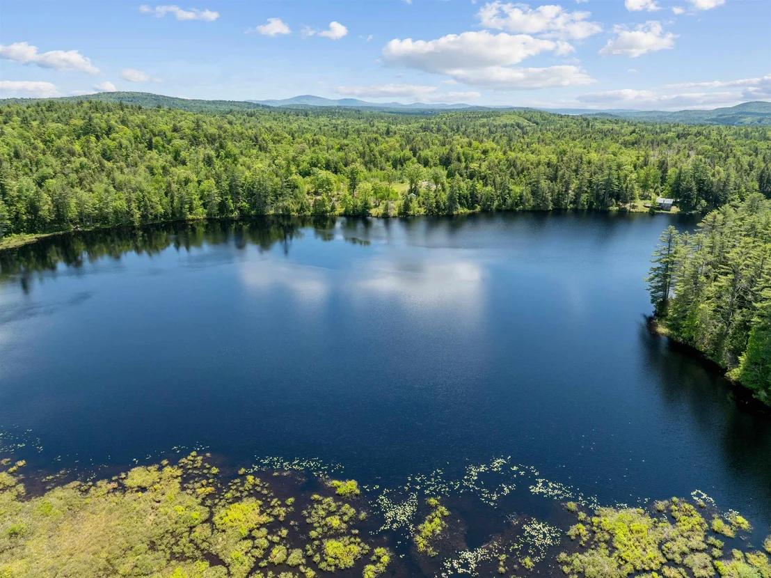 Photo of 47 Forest Pond
