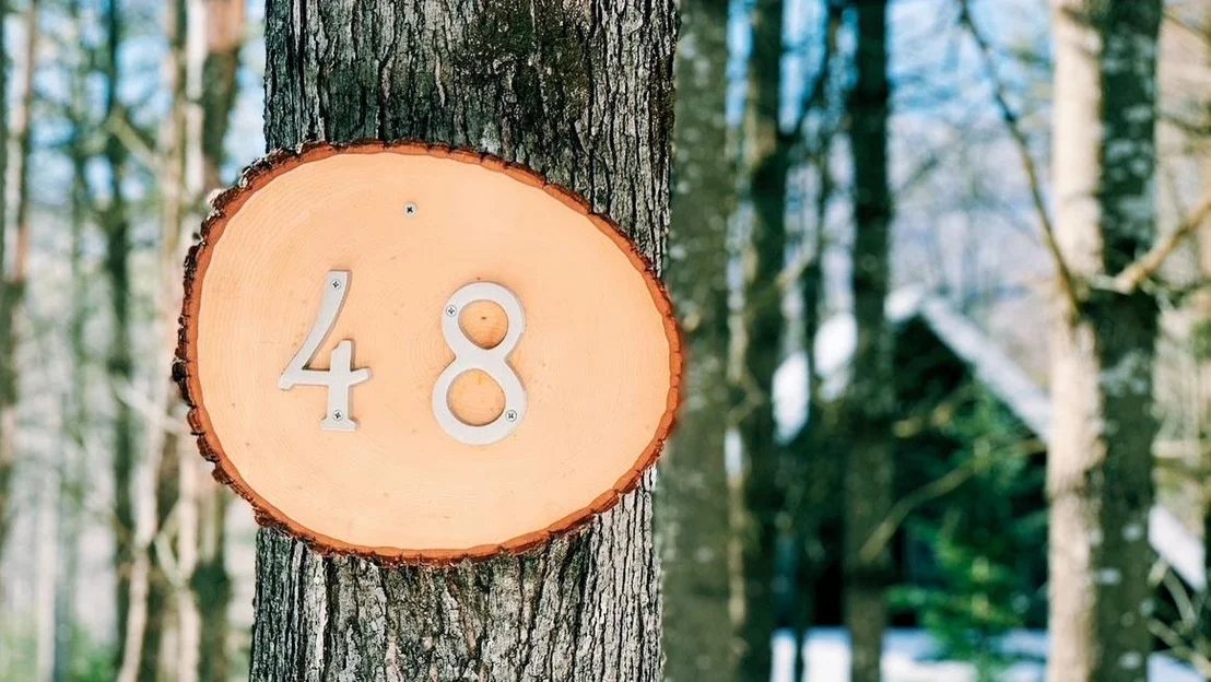 Photo of 48 Holly