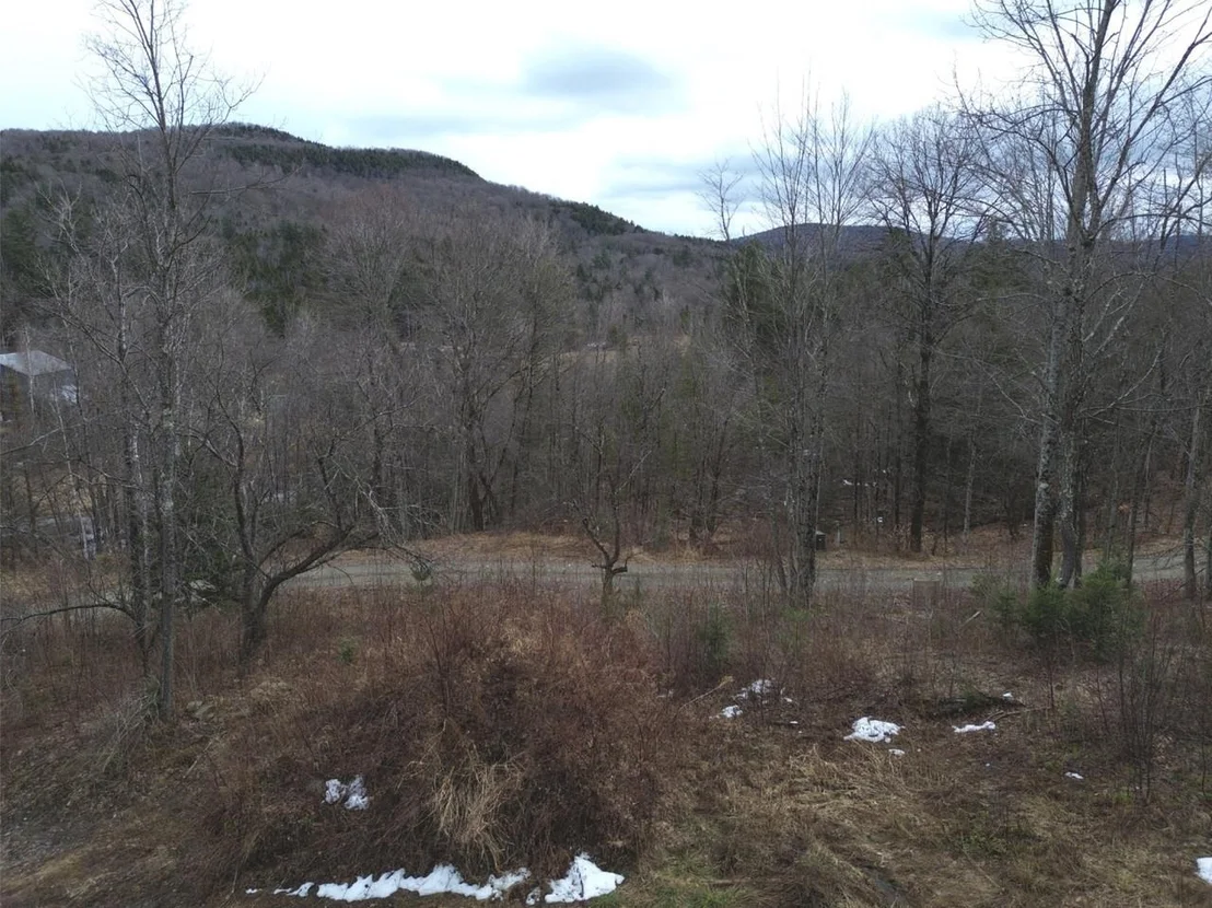 Photo of Unit 3 at 00 Bent Birch