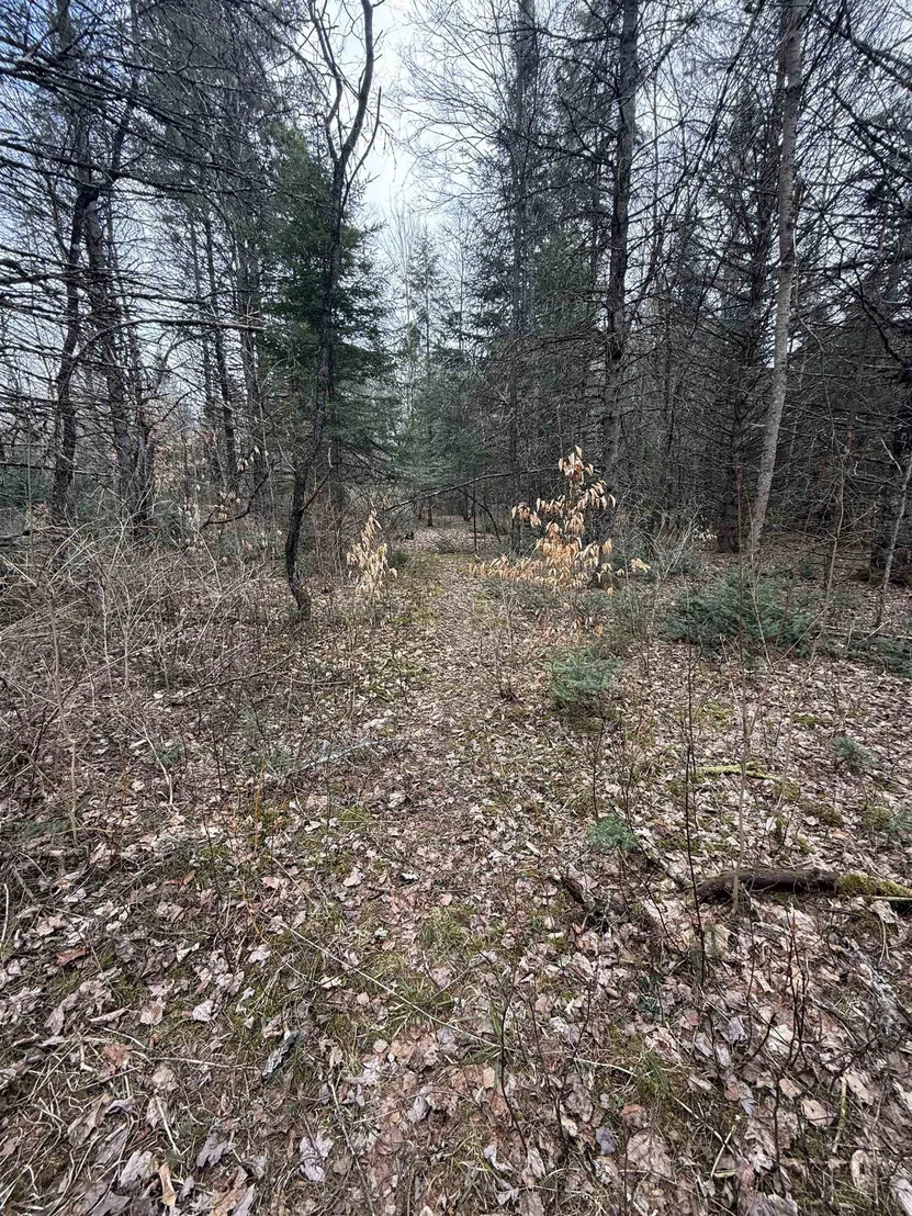Photo of 00 Wheelock