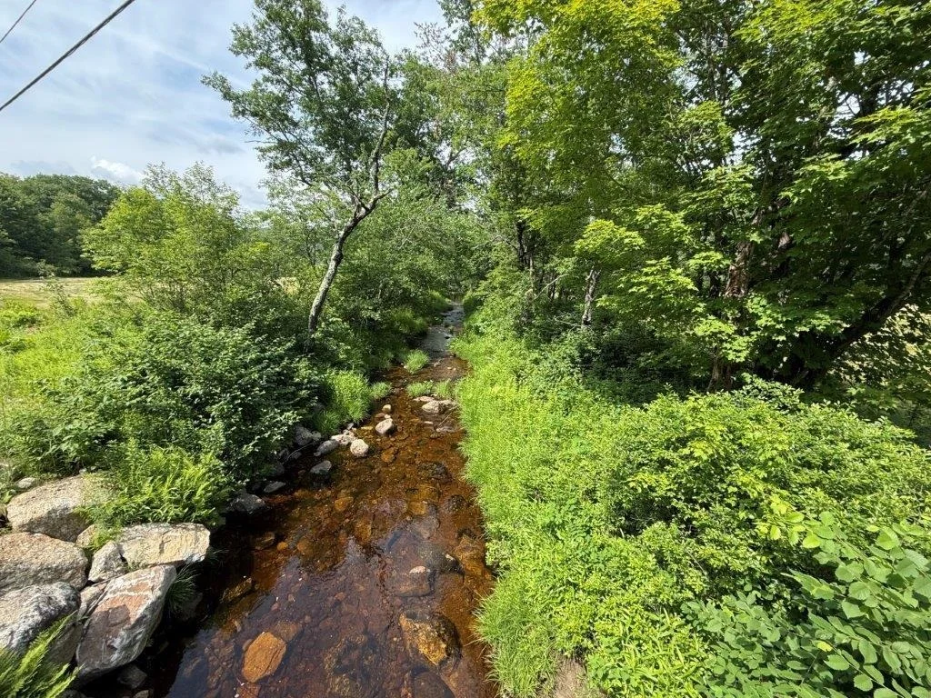 Photo of 446 Walker Brook