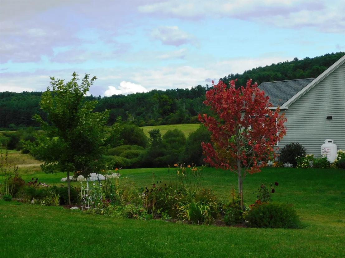 Photo of 844 Greeley