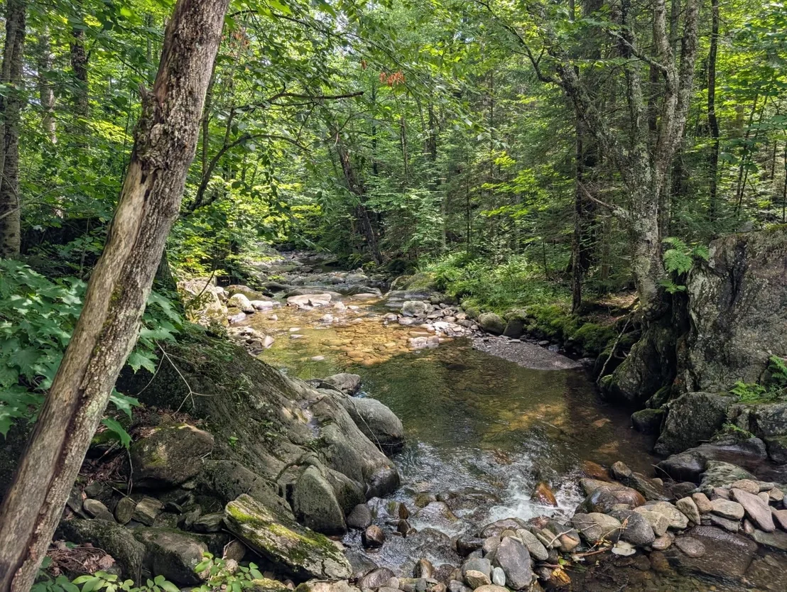 Photo of 195 Taft Brook