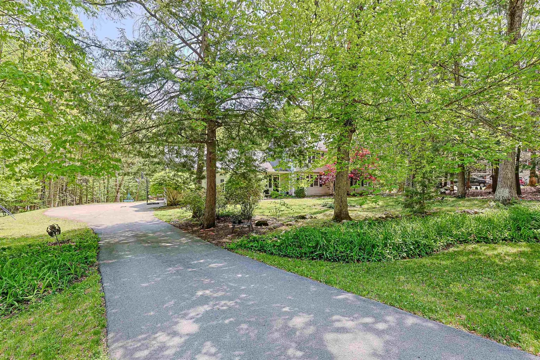 Photo of 19 Winterberry