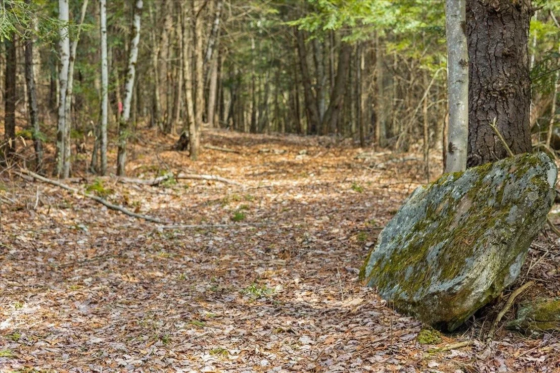Photo of Lot 3 Hemlock
