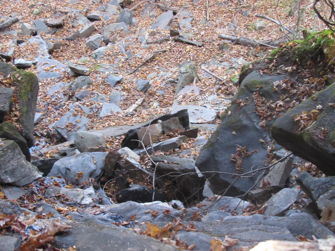 Photo of 6791 US Route 5