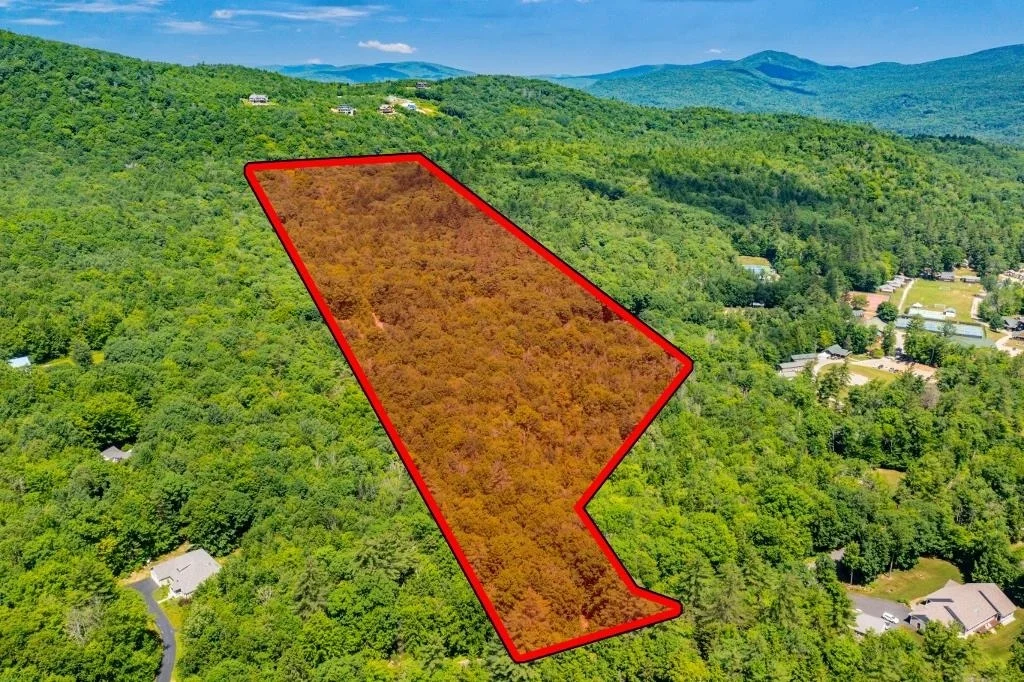Photo of Lot 2 Bear Mountain